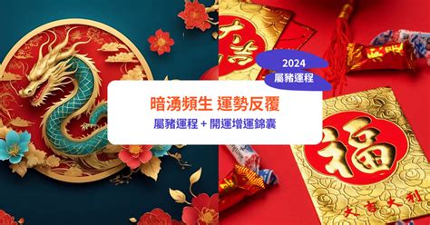 2024年 屬豬|【2024豬年】生肖豬2024好運滾滾來！屬豬運勢、幸。